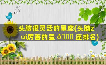头脑很灵活的星座(头脑zui
厉害的星 🐛 座排名)